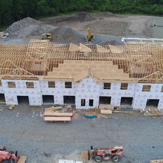 How To Assess Mould And Mildew Growth In Roof Trusses?